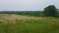 Picture Name