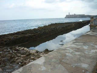 Picture Name