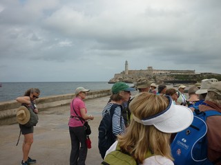 Picture Name