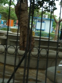 Picture Name