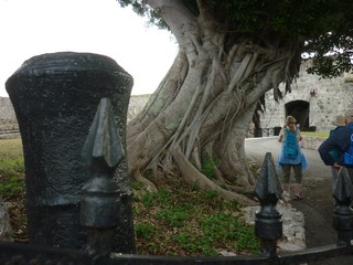 Picture Name