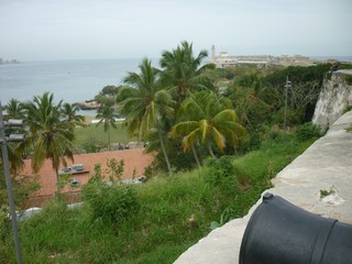 Picture Name