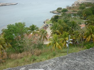 Picture Name