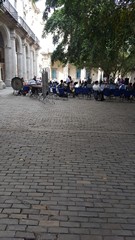 Picture Name