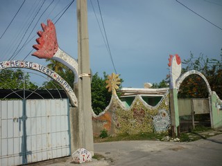 Picture Name