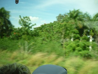Picture Name