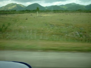 Picture Name