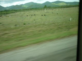Picture Name
