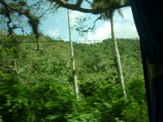 Picture Name