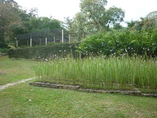Picture Name