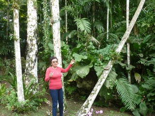Picture Name