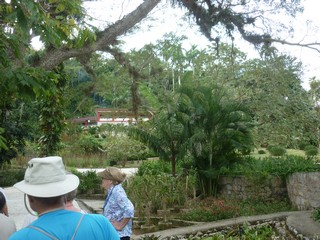 Picture Name