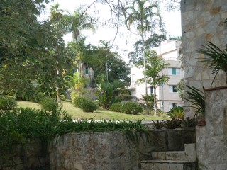 Picture Name