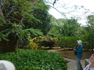 Picture Name