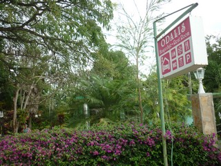 Picture Name