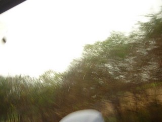 Picture Name