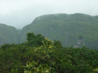 Picture Name