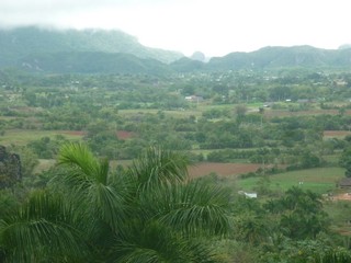 Picture Name