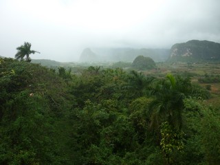 Picture Name