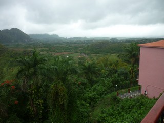 Picture Name