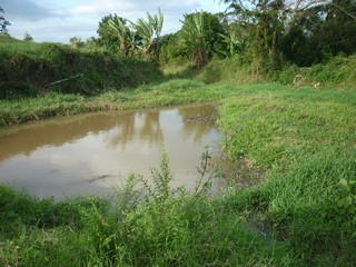 Picture Name