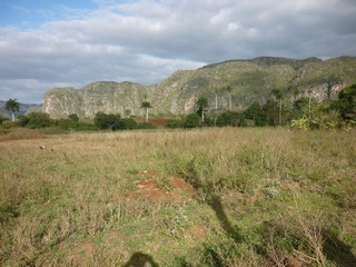 Picture Name