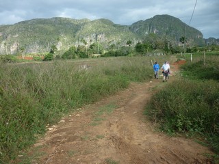 Picture Name
