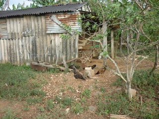 Picture Name