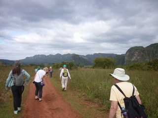 Picture Name
