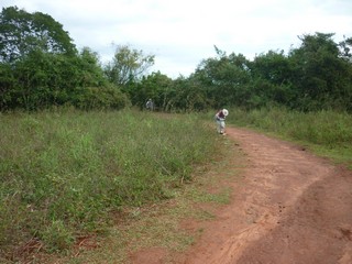 Picture Name