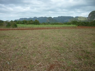 Picture Name