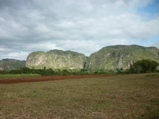 Picture Name