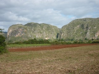 Picture Name