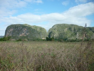 Picture Name