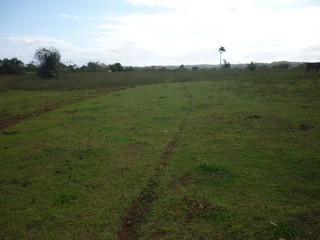 Picture Name
