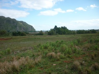 Picture Name
