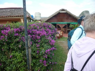 Picture Name