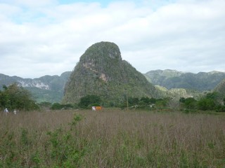 Picture Name