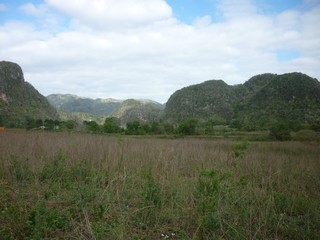 Picture Name