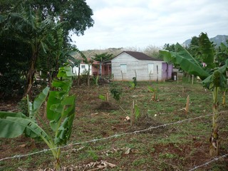Picture Name