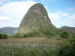 Picture Name