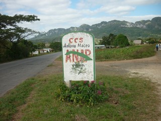 Picture Name