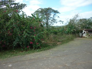 Picture Name
