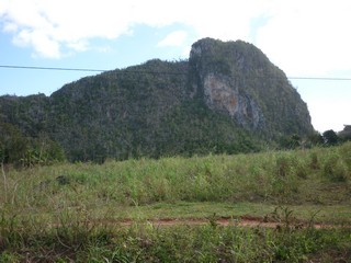 Picture Name