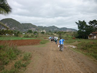 Picture Name