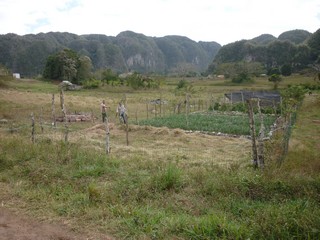 Picture Name