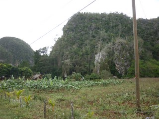 Picture Name