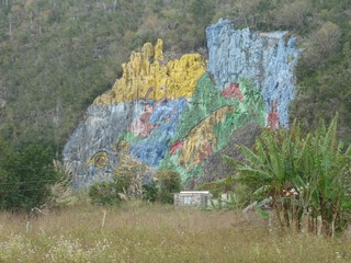Picture Name