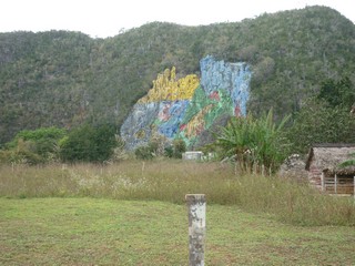 Picture Name