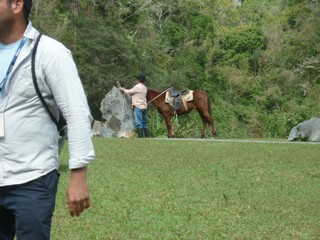 Picture Name